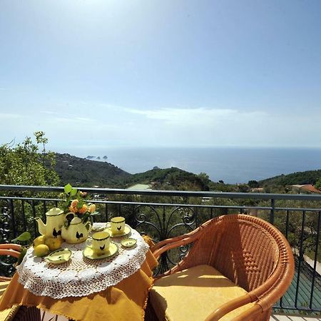 VIlla Persico Massa Lubrense Esterno foto
