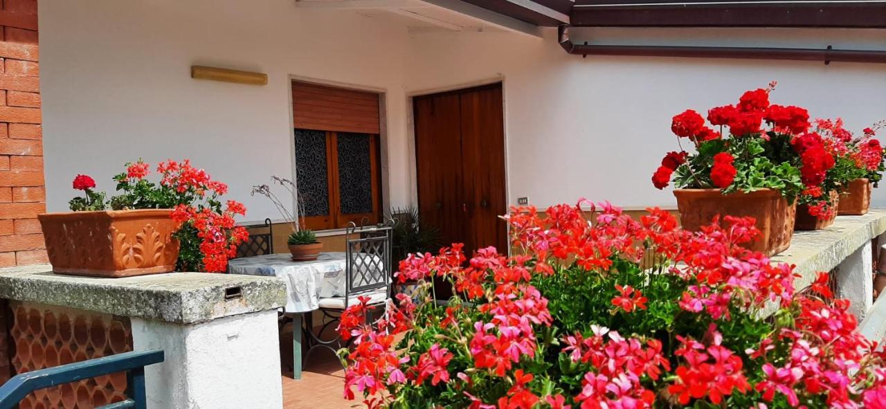 VIlla Persico Massa Lubrense Esterno foto