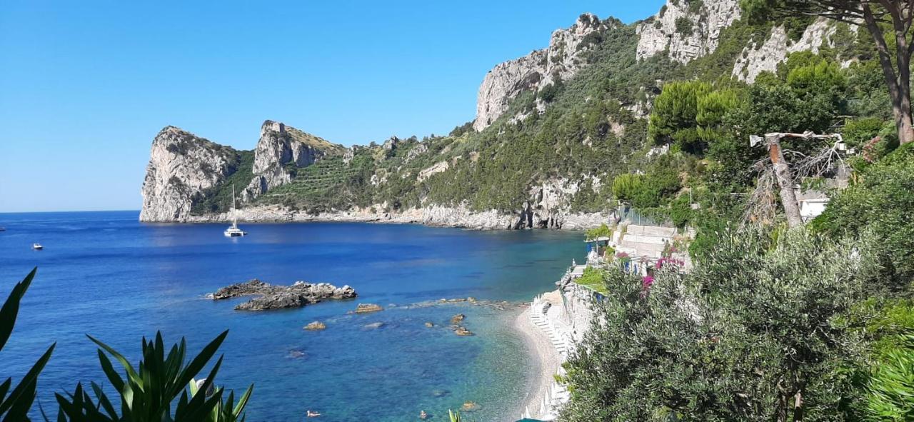 VIlla Persico Massa Lubrense Esterno foto