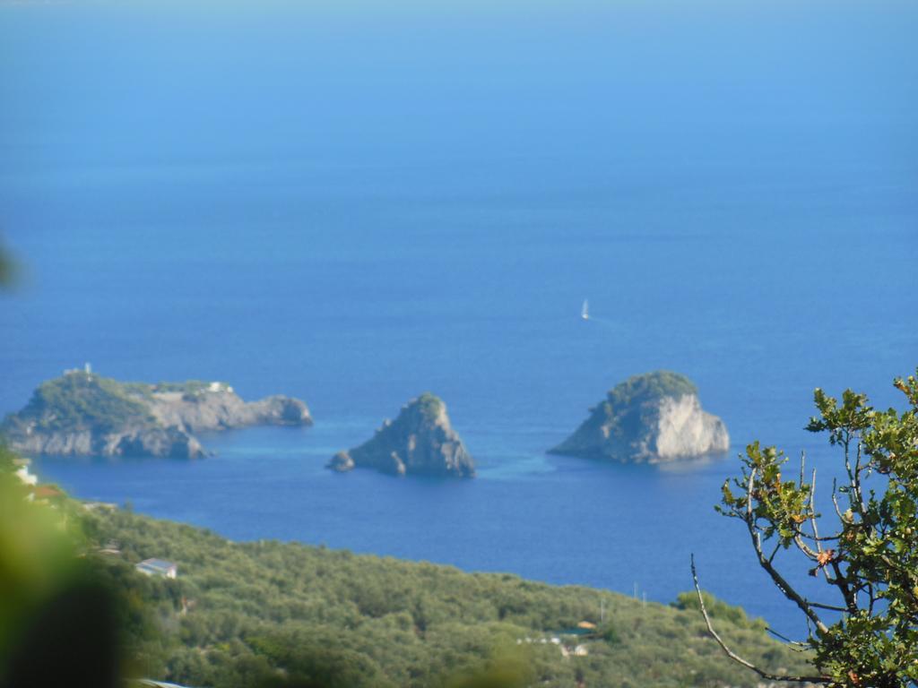 VIlla Persico Massa Lubrense Esterno foto